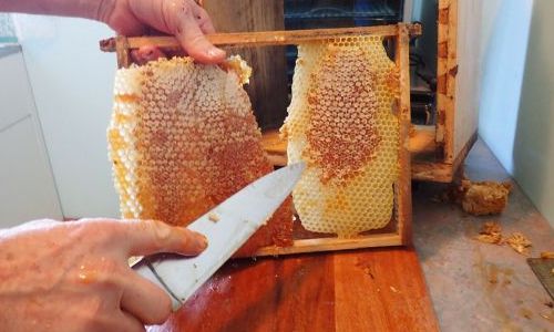 Mallacoota Honey